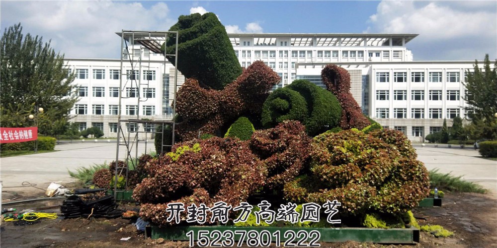 遼寧省交通高等?？茖W校五色草造型